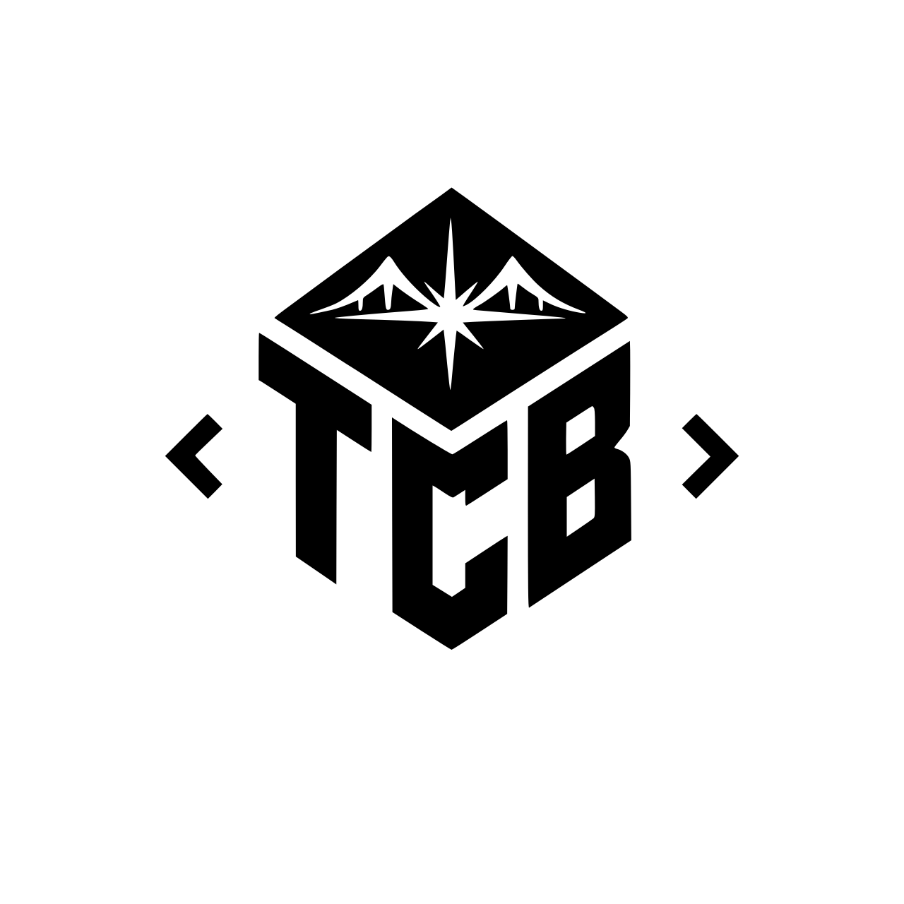 TeamCodeBridge 로고 (2).png